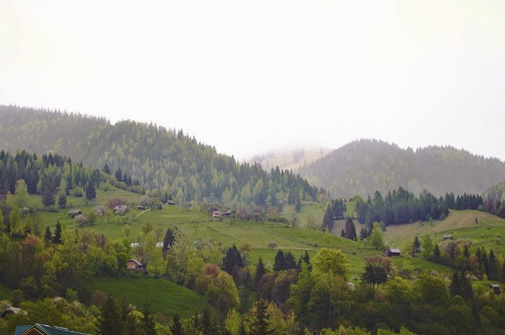 ScoutLand